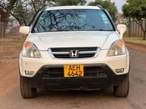 classifieds/cars honda