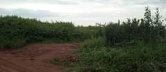 A picture of Land