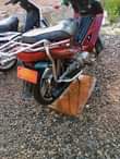 A picture of Lady bike