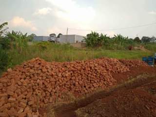 A picture of Quick sale 50by100 ready title at 20m Busubuzi price located