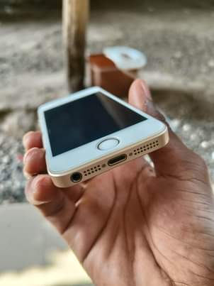 iphones 5s