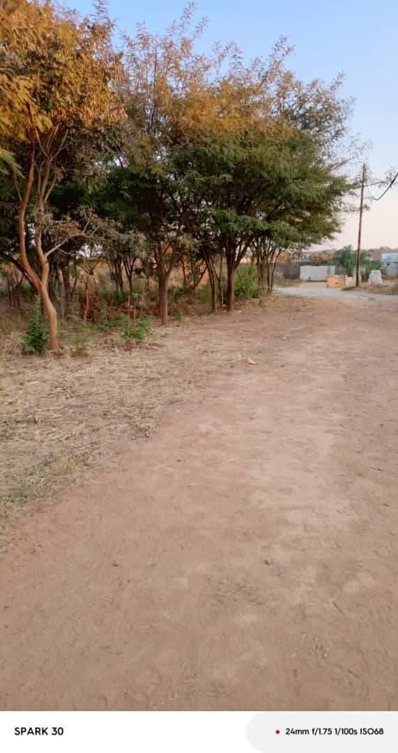 zambia plots