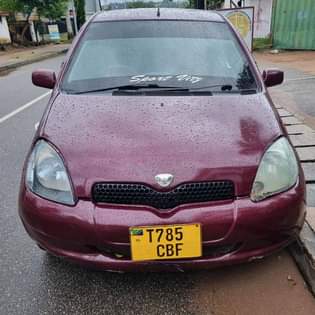 A picture of Vitz