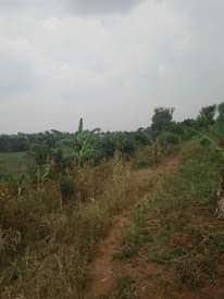 A picture of Plot 20x50 ft at 4millions call 0705873033