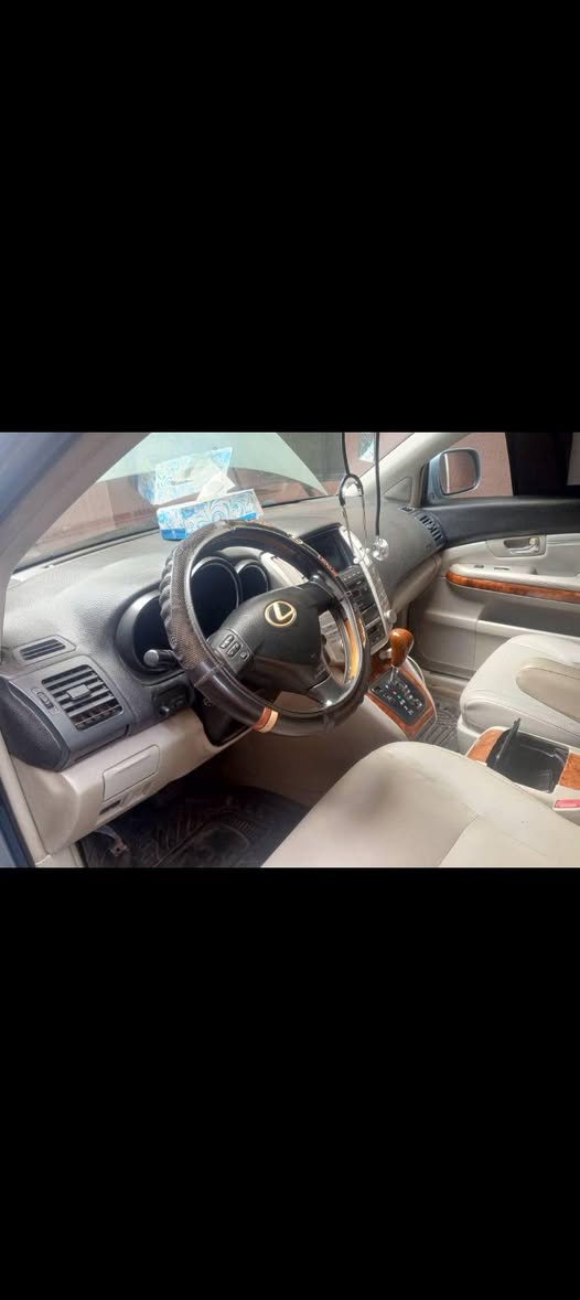 A picture of 2007 Lexus RX 330 2007