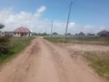 A picture of kiwanja nauza