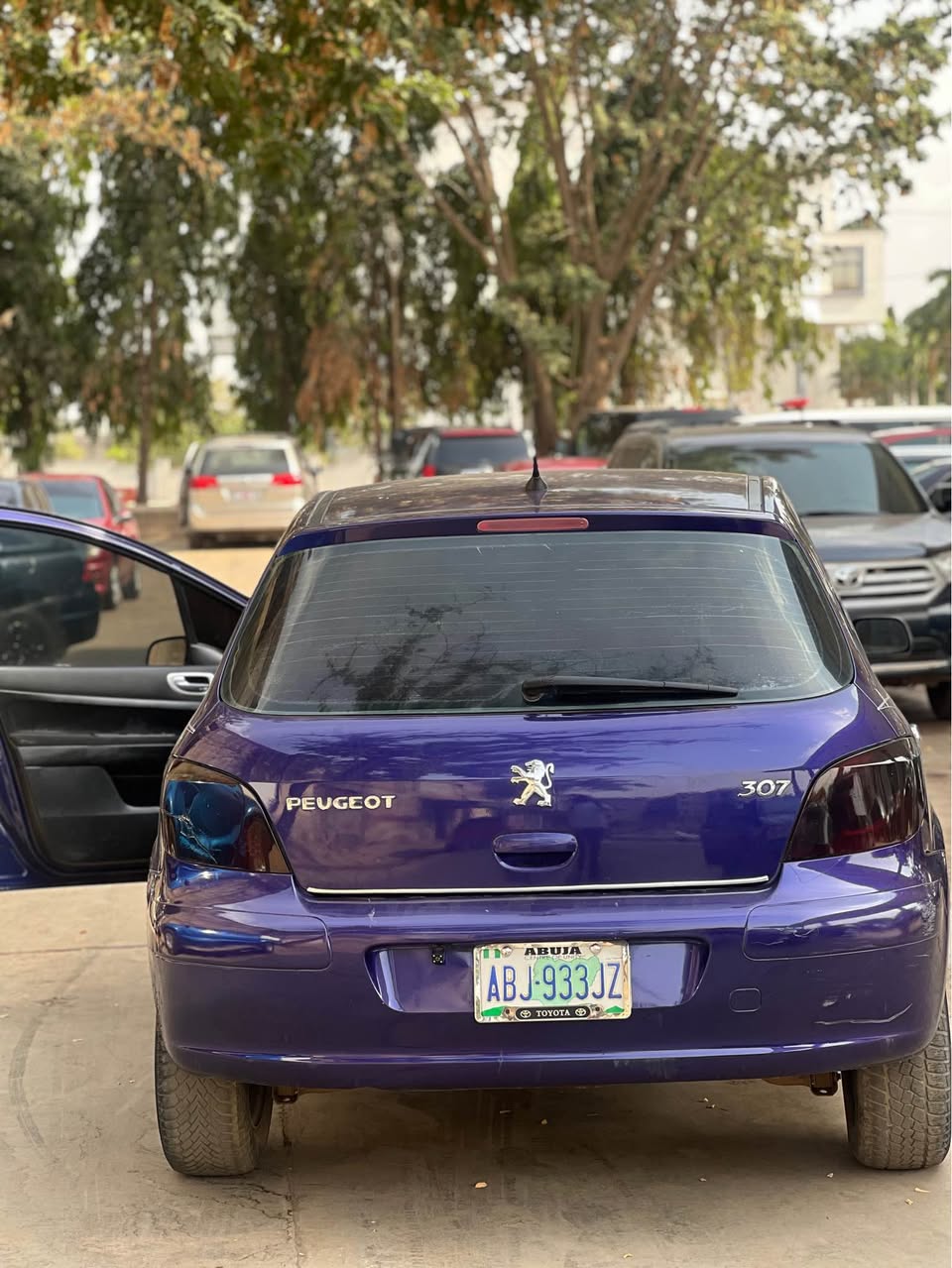 A picture of PEUGEOT 307