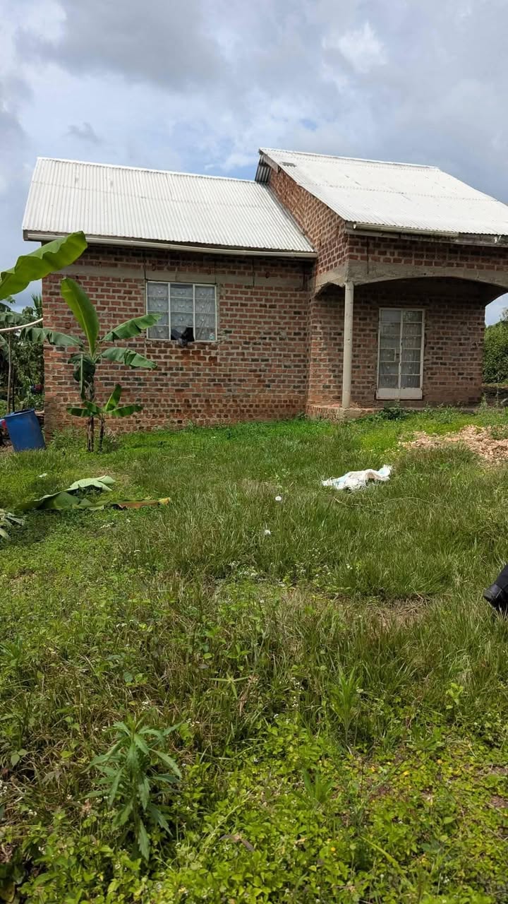 A picture of House on quick sale Wakiso Namayumba 22M 50x100 good 3bed