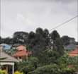 A picture of Quick sell a Titled house 68m only 
