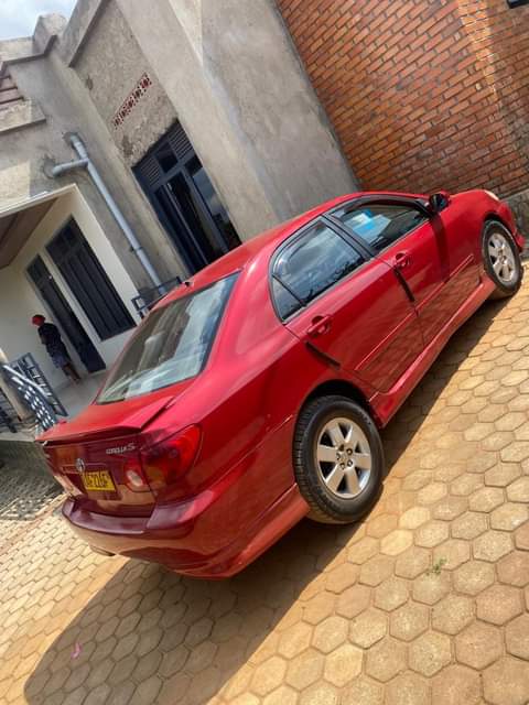 used toyota corolla