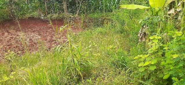 A picture of Land for sale on agreement