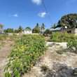 A picture of Plot for sale Tsh 60 millions at Bunju Beach Dar