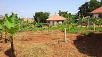 A picture of Get a plot too near the city centre from just