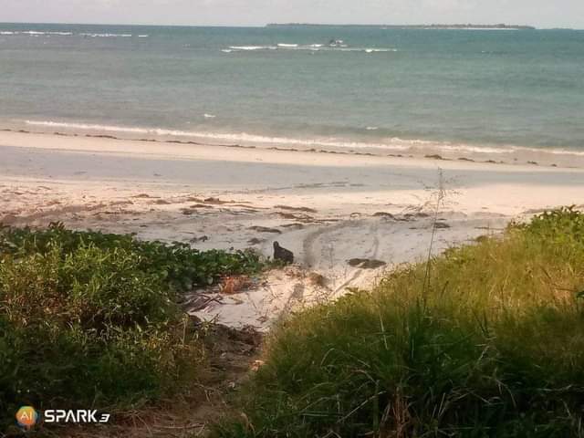 A picture of BEACH PLOT KIGAMBONI MBUTU DAR
