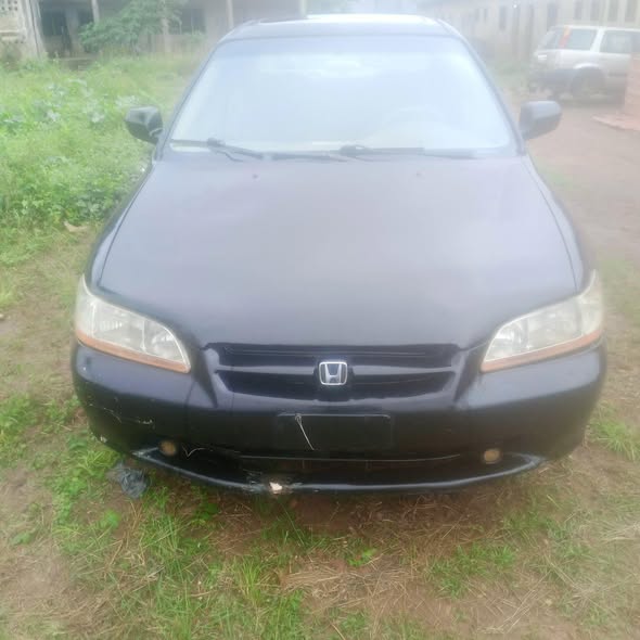 A picture of 1999 Honda baby boy