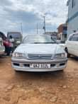 A picture of Premmio for sale call me on 256751331103 or what app
