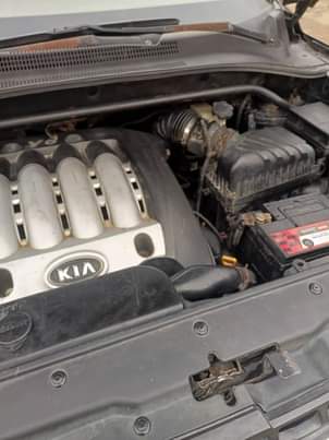 A picture of Kin