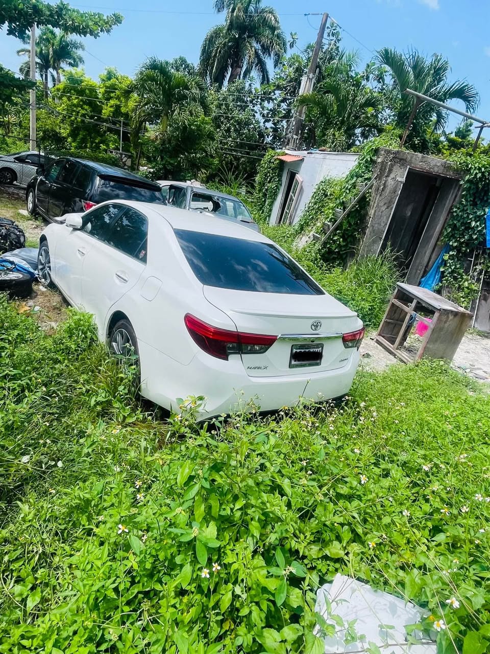 used toyota mark x