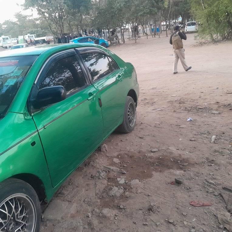 toyota corolla bubble