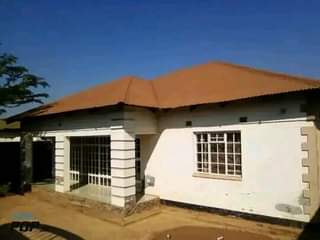 tiles