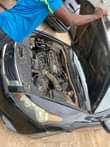 A picture of Honda accord 2010 Automatic Flashed on first body 4 plug