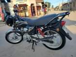 A picture of Tvs 150