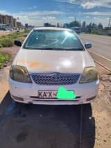 Kyalo K.