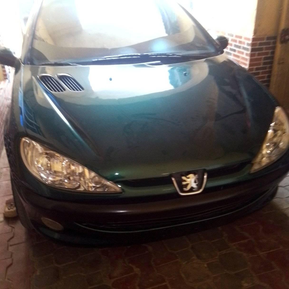 A picture of 206 auto