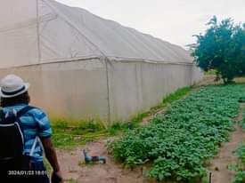 A picture of SHAMBA LA UFUGAJI LINAUZWA