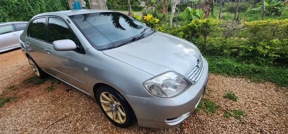 2003 cars