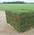 A picture of Landscaping services