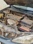 A picture of AWOOF AWOOF AWOOF TOYOTA CAMRY 04