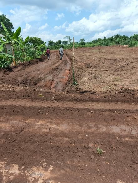 A picture of 50by100ft PLOT ON QUICK SALE AT 11 M UGX ONLY