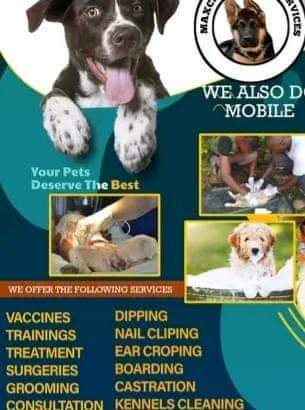 A picture of Pet services