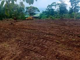 A picture of Gobero brand new estate 50x100ft 8m