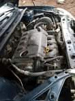 A picture of Toyota echo