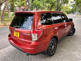 A picture of SUBARU FORESTER