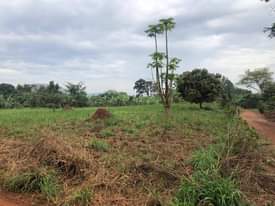 A picture of 2 acres titled land