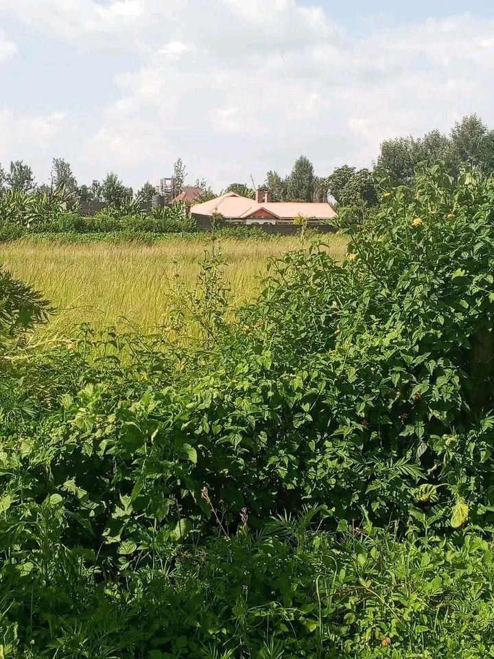 A picture of 50 100plots in Nakuru Ma ngu