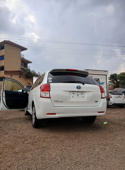 A picture of Fielder 2014 p white