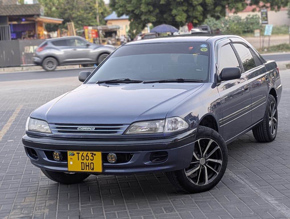 A picture of Carina for sale