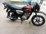 A picture of Boxer x 125