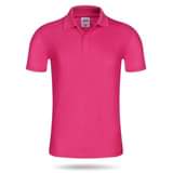 A picture of Men s pollo shirt