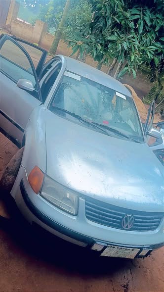 A picture of Passat