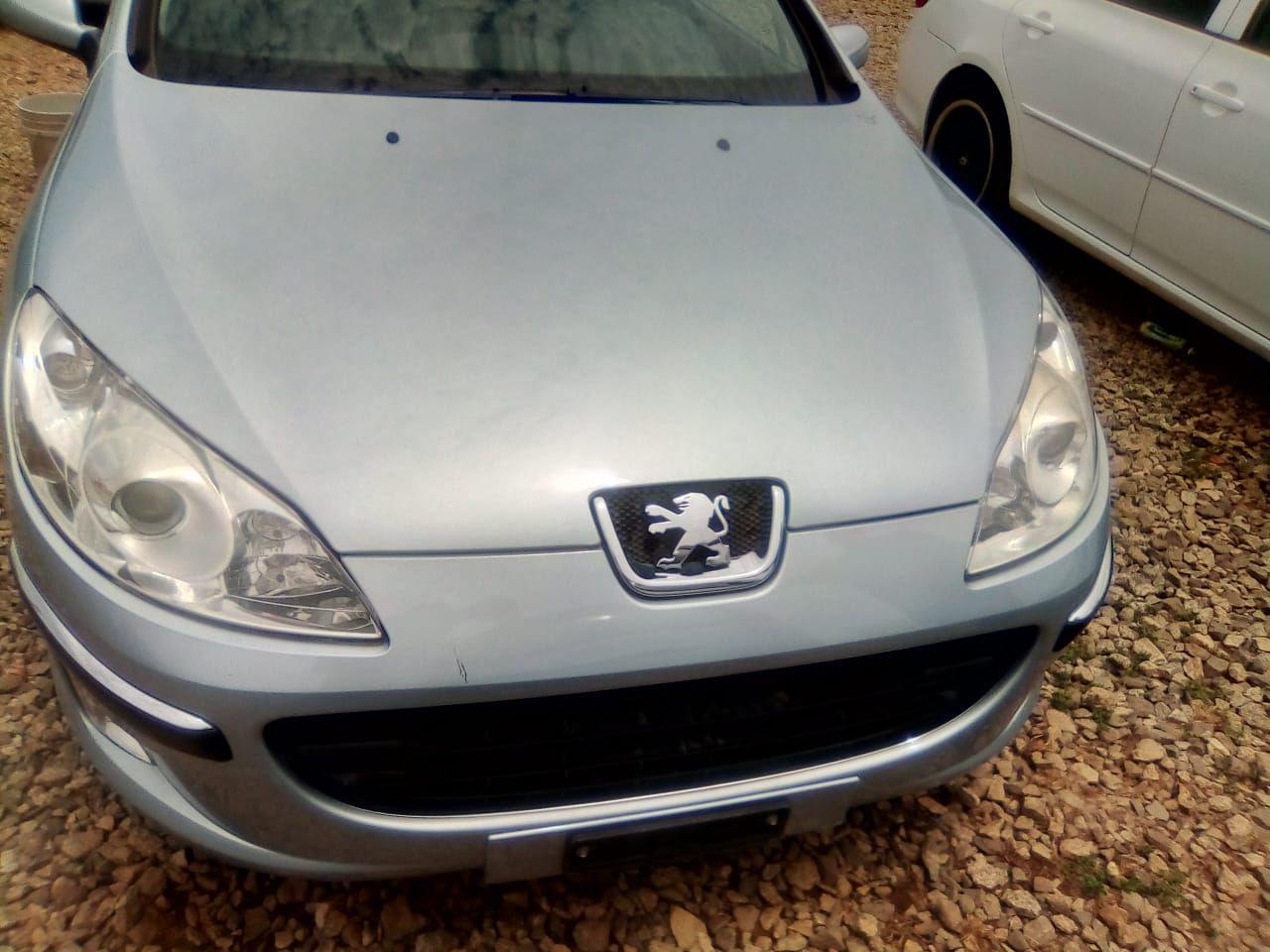 A picture of 2007 Peugeot 407 Tokumbo