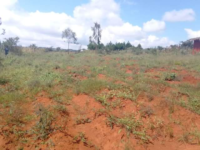 land