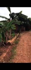 A picture of PLOT FOR SALE LOCATED IN BWEBAJJA 100 X50 IN A