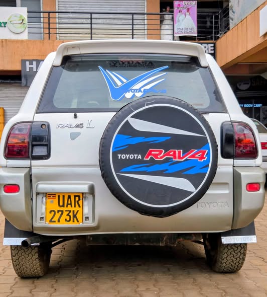 A picture of Rav 4
