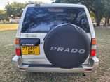 A picture of Prado mchaga