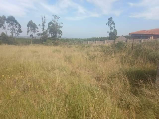 Kzn C.